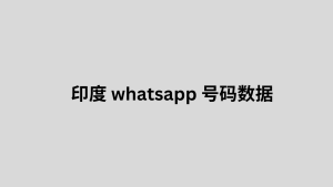 印度 whatsapp 号码数据 