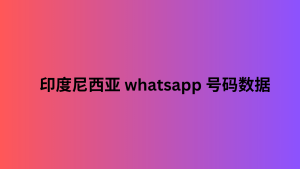 印度尼西亚 whatsapp 号码数据 