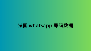 法国 whatsapp 号码数据 